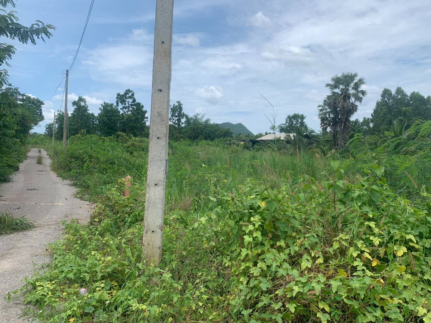 ขายที่ดินเปล่า  เจ้าของขายเอง เหมาะสำหรับทำรีสอร์ทและหมู่บ้าน จำนวน 8 แปลง อำเภอจอมบึง จังหวัดราชบุรี