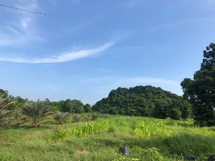 ขายที่ดินเปล่า  เจ้าของขายเอง เหมาะสำหรับทำรีสอร์ทและหมู่บ้าน จำนวน 8 แปลง อำเภอจอมบึง จังหวัดราชบุรี