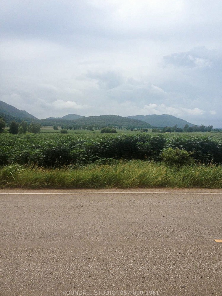 ขาย ที่ดิน สวยมาก ที่ดินติดต่อกันเป็นผืนเดียวกัน หนองม่วง ลพบุรี