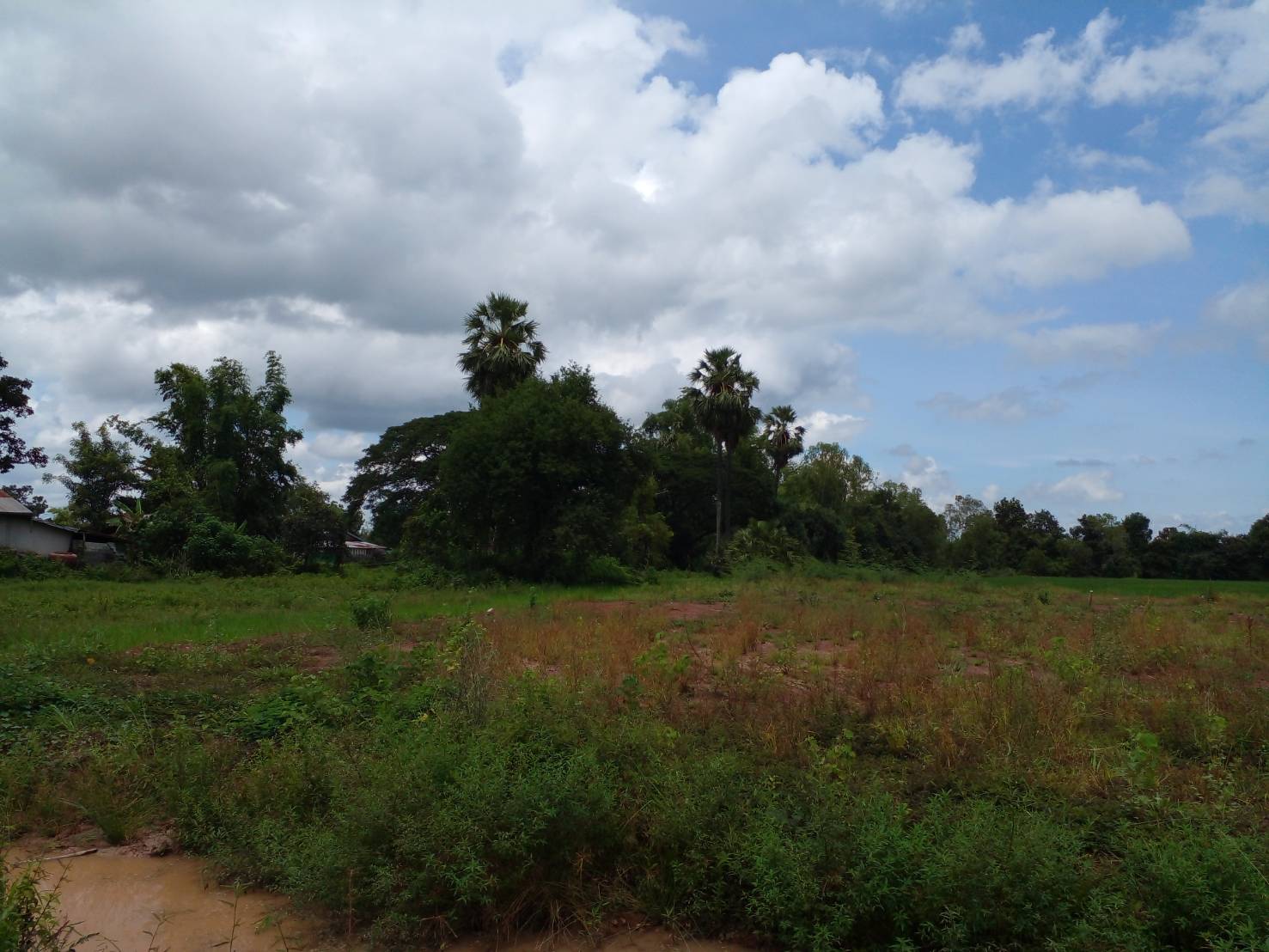 ขายที่ดิน 1-0-0 THB3,080,000 หนองนาคำ เมือง อุดรธานี