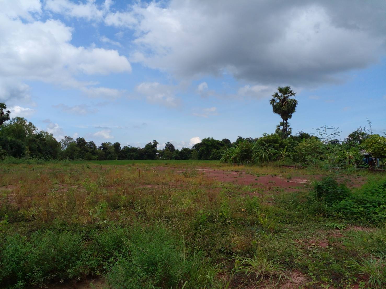 ขายที่ดิน 1-0-0 THB3,080,000 หนองนาคำ เมือง อุดรธานี