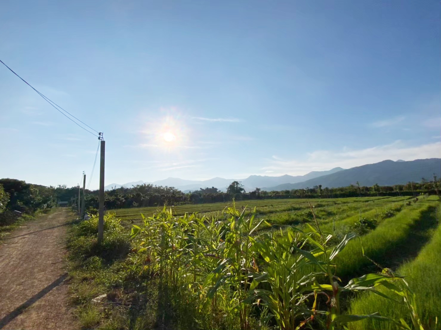 ขายที่ดิน วิวอ่างขาง 180 องศา ติดถนนสายหลักขึ้นดอยอ่างขาง ตำบลแม่งอน อำเภอฝาง จังหวัดเชียงใหม่