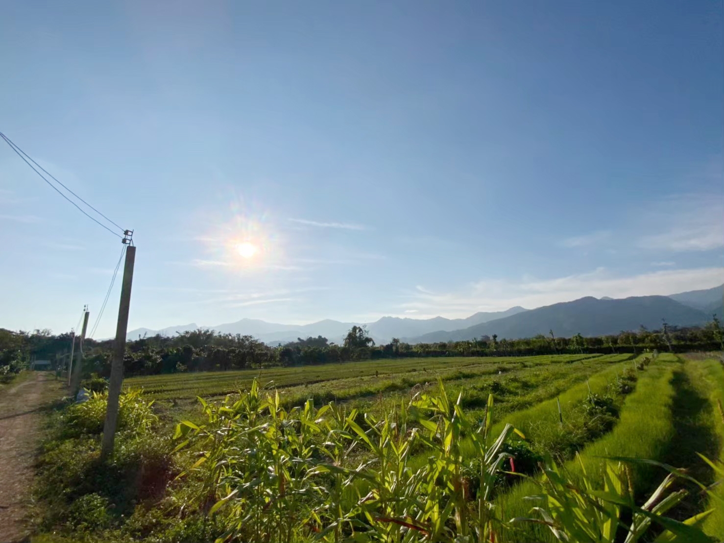 ขายที่ดิน วิวอ่างขาง 180 องศา ติดถนนสายหลักขึ้นดอยอ่างขาง ตำบลแม่งอน อำเภอฝาง จังหวัดเชียงใหม่