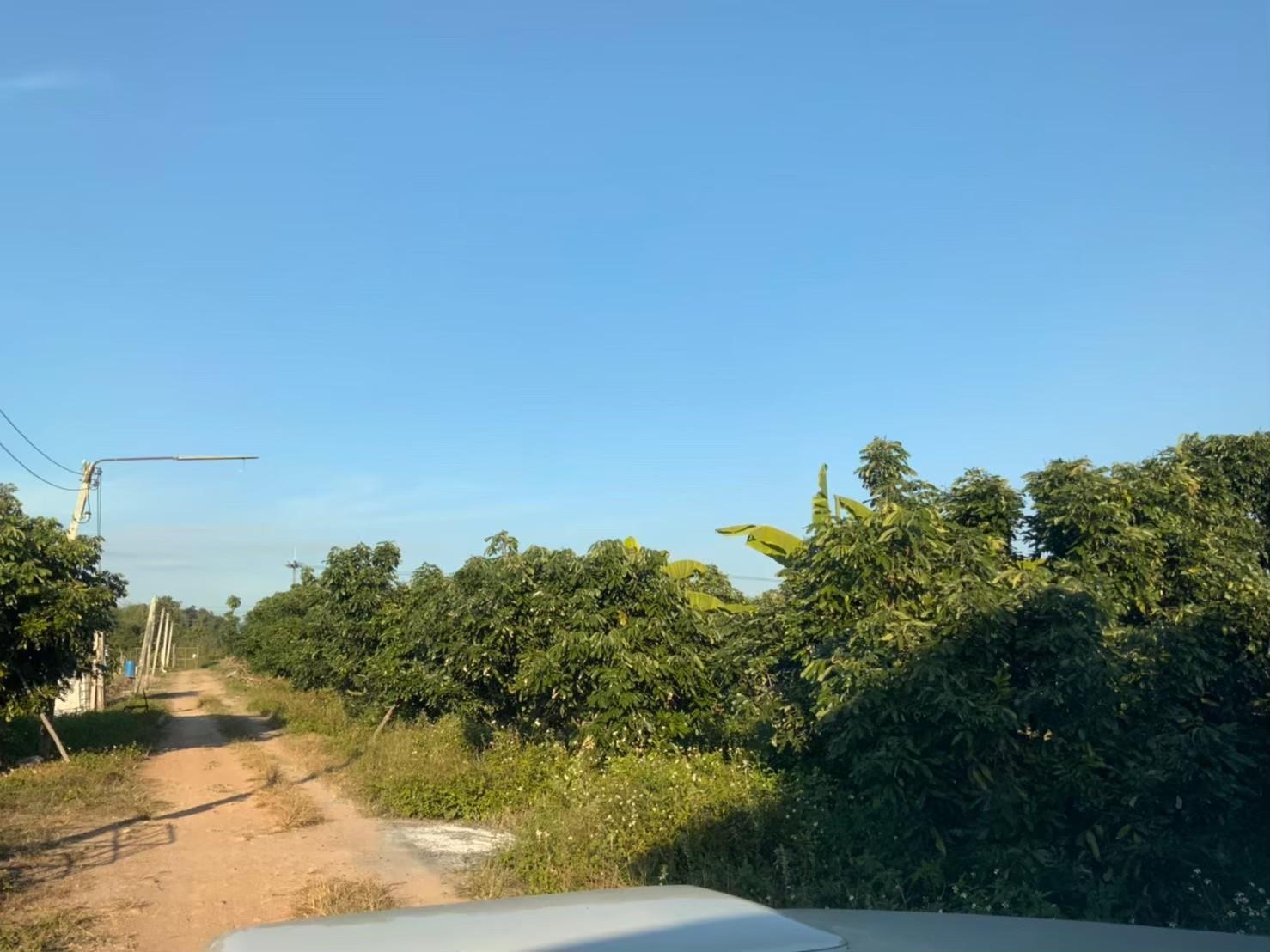 ขายที่ดิน วิวอ่างขาง 180 องศา ติดถนนสายหลักขึ้นดอยอ่างขาง ตำบลแม่งอน อำเภอฝาง จังหวัดเชียงใหม่