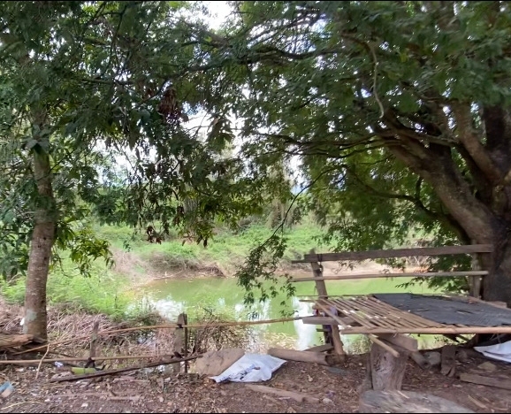 ขายที่ดิน วิวอ่างขาง 180 องศา ติดถนนสายหลักขึ้นดอยอ่างขาง ตำบลแม่งอน อำเภอฝาง จังหวัดเชียงใหม่