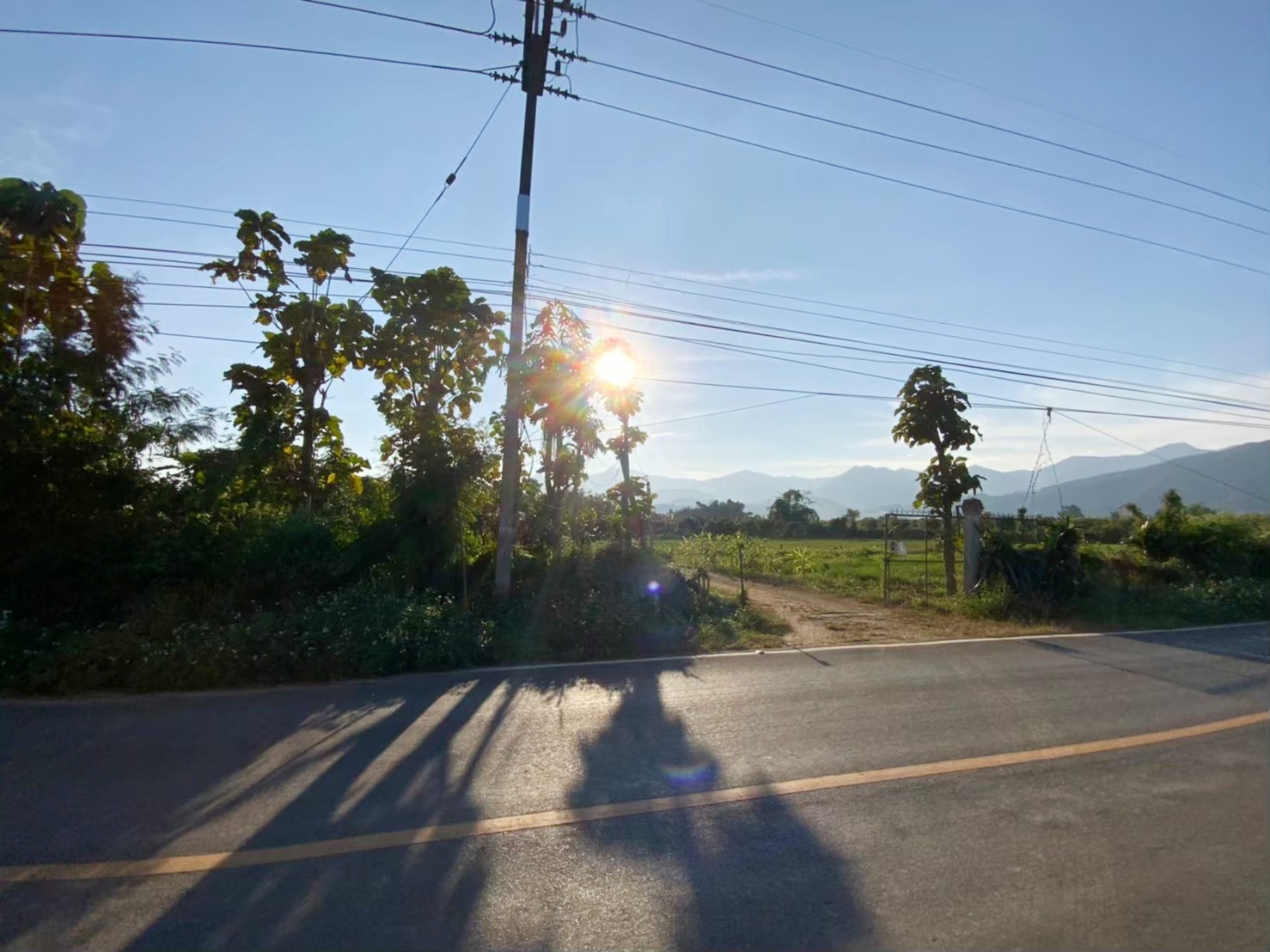 ขายที่ดิน วิวอ่างขาง 180 องศา ติดถนนสายหลักขึ้นดอยอ่างขาง ตำบลแม่งอน อำเภอฝาง จังหวัดเชียงใหม่