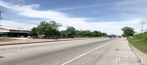 ให้ เช่าที่ดิน 4.5 ไร่ เด่น ติดถนน ทำเลดี ใช้งานได้ หลากหลาย ย่านกำแพงแสน ติดถนน เส้นมาลัยแมน-สุพรรณบุรี - KK3791S