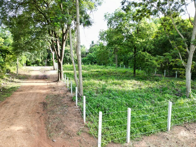 ขายที่ดิน ถมแล้ว  ต.โคกสี อ.เมือง จ.ขอนแก่น ขนาด 2 งานติดถนน 3 ด้าน