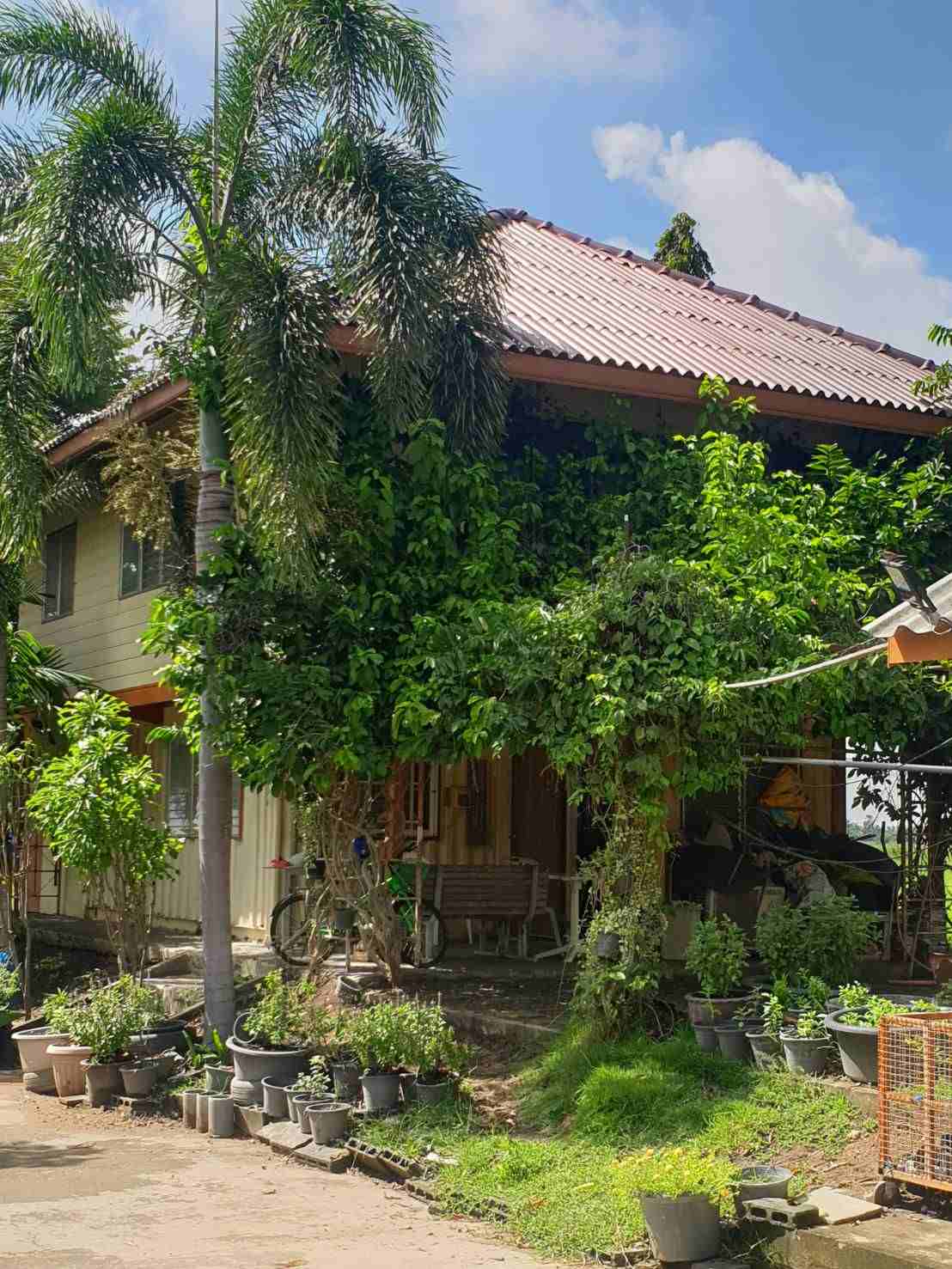 ขายหรือเช่า บ้าน ฟาร์มพร้อมโรงงาน อ.ดอนเจดีย์ จ.สุพรรณบุรี