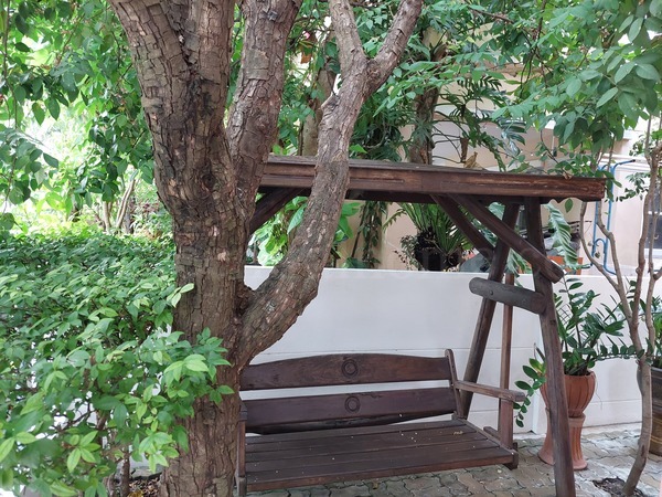 บ้านเดี่ยว บ้านเปี่ยมสุข ปากเกร็ด  สภาพสวยเว่อร์ 