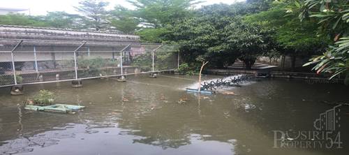 ขายที่ดิน 7ไร่ พร้อม พื้นที่ใช้สอย ลานคอนกรีต เต็มพื้นที่ มีโรงงาน โกดัง สำนักงาน อุปกรณ์และใบ รง.4 ครบถ้วน แถมติดถนน 2 ด้านในราคาที่เปล่า - KK1434S