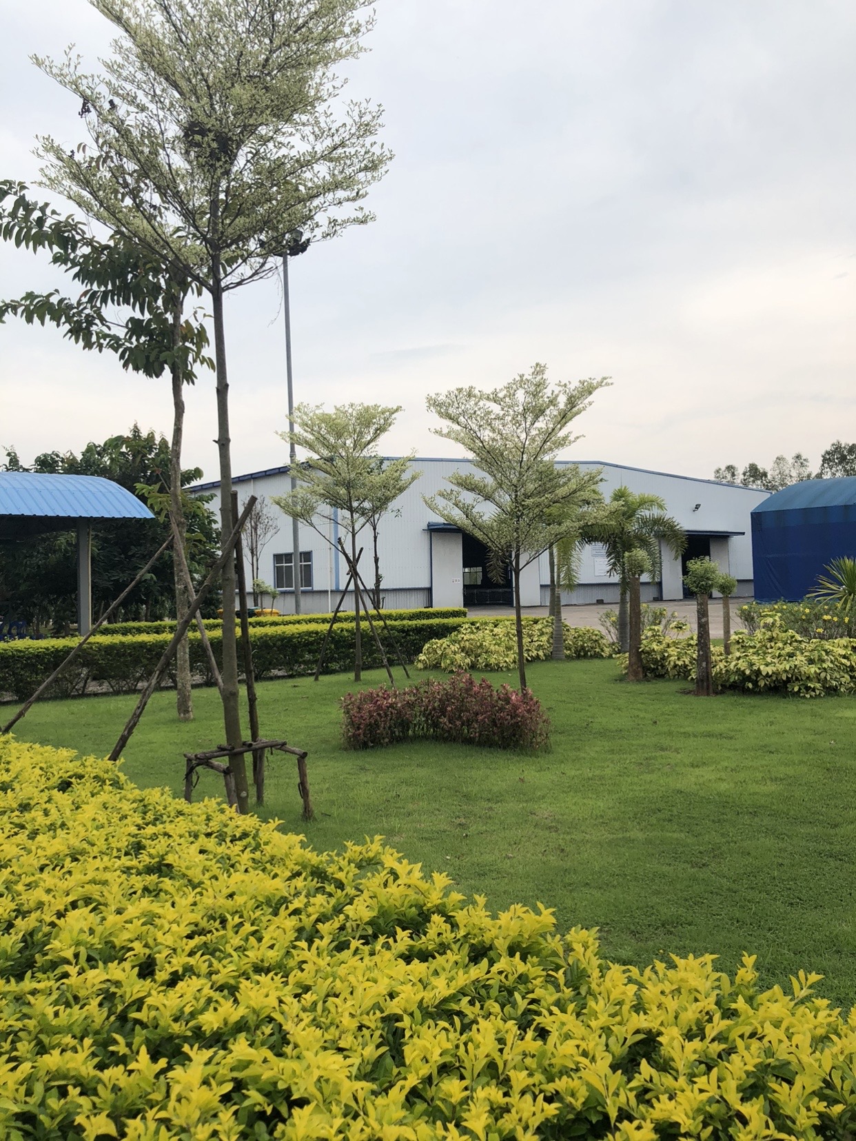 โรงงานผลิตยางแท่ง STR 20 ผลิตภัณฑ์ยางพารา พร้อมเครื่องจักร  อุปกรณ์การผลิตครบชุด จ.บึงกาฬ