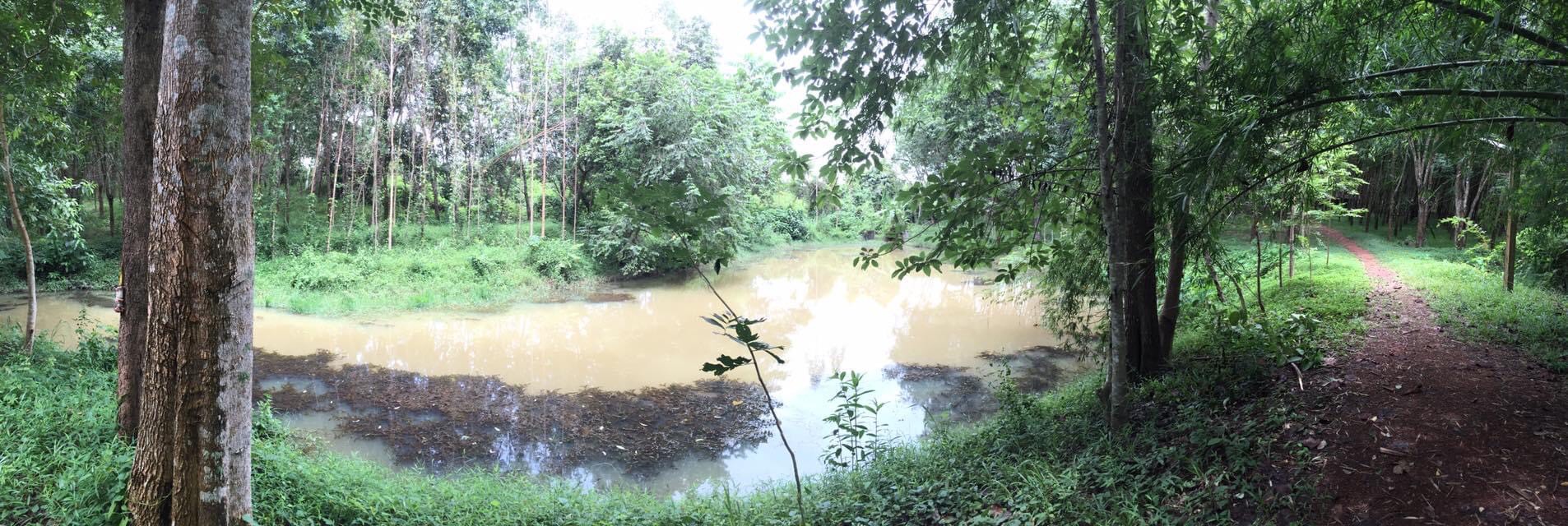ขายที่ดิน 102-1-57.6 THB71,675,800 รัตนวาปี รัตนวาปี หนองคาย