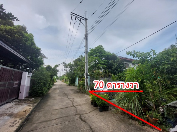 ขายด่วน ที่ดิน ถมแล้ว 70ตรว. ซ.บางแวก118 บางไผ่ บางแค ใกล้ ถนนกาญจนาภิเษก