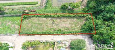 ขาย ที่ปลูกบ้าน 242 ตร.ว. ใกล้ ถ. บรม เพียง 188 ม. หน้ากว้างสวย 47 เมตร ติด ตะวันออก สะดวกสบายด้วย Design Village / Starbuck/ กูเม่ ก่อนสาย 3 - kk5051s