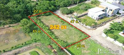 ขาย ที่ปลูกบ้าน 242 ตร.ว. ใกล้ ถ. บรม เพียง 188 ม. หน้ากว้างสวย 47 เมตร ติด ตะวันออก สะดวกสบายด้วย Design Village / Starbuck/ กูเม่ ก่อนสาย 3 - kk5051s