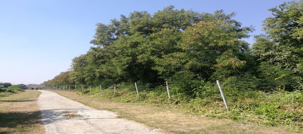 ที่ 69 ไร่เศษ หน้ากว้าง เเวดล้อมสถานที่สำคัญหลายเเห่ง เดินทางได้หลายเส้นทาง  KK2661S