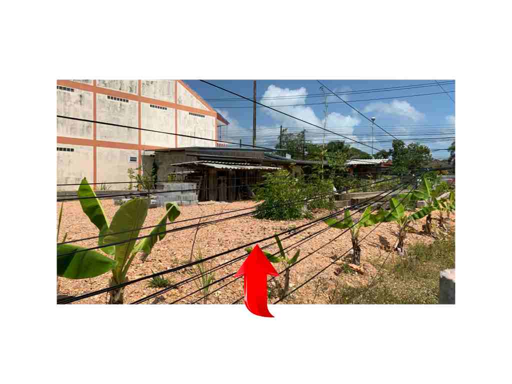 ขายด่วนที่ดิน ติดถนนใหญ่ ต่ำกว่าราคาประเมิน อำเภอสิงหนคร สงขลา