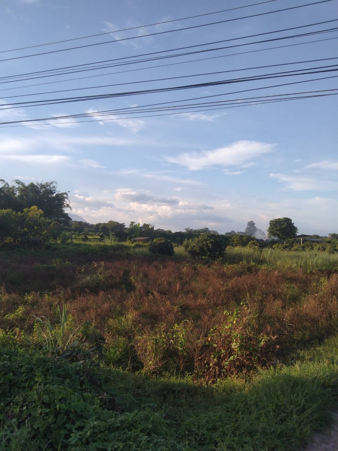 แนะนำที่ดินแปลงสวย เอกสารโฉนด 2ไร่2งาน60วา มองเห็นวิวดอย และชายทุ่ง ธรรมชาติ ทำเลดี ห่างถนนสายหลัก เส้นเชียงใหม่-เชียงดาวเพียง 250 เมตรเท่านั้น 