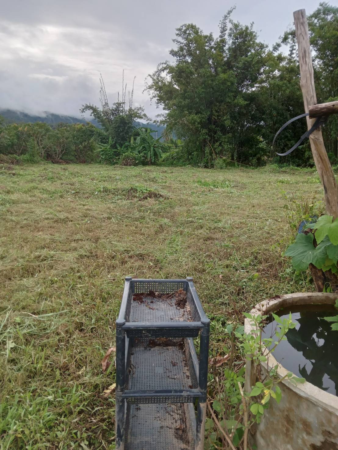 แนะนำที่ดินแปลงสวย เอกสารโฉนด 2ไร่2งาน60วา มองเห็นวิวดอย และชายทุ่ง ธรรมชาติ ทำเลดี ห่างถนนสายหลัก เส้นเชียงใหม่-เชียงดาวเพียง 250 เมตรเท่านั้น 