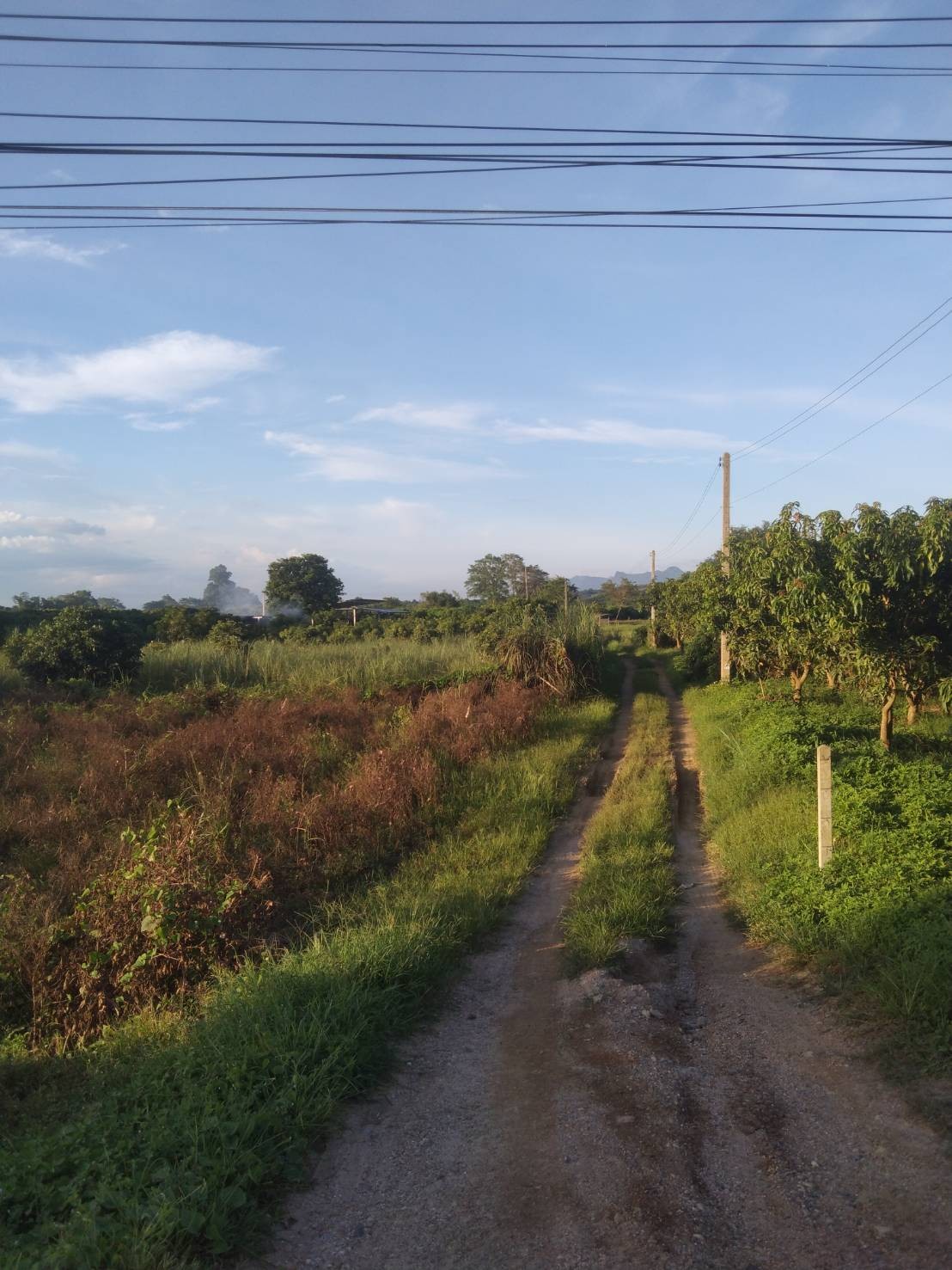 แนะนำที่ดินแปลงสวย เอกสารโฉนด 2ไร่2งาน60วา มองเห็นวิวดอย และชายทุ่ง ธรรมชาติ ทำเลดี ห่างถนนสายหลัก เส้นเชียงใหม่-เชียงดาวเพียง 250 เมตรเท่านั้น 