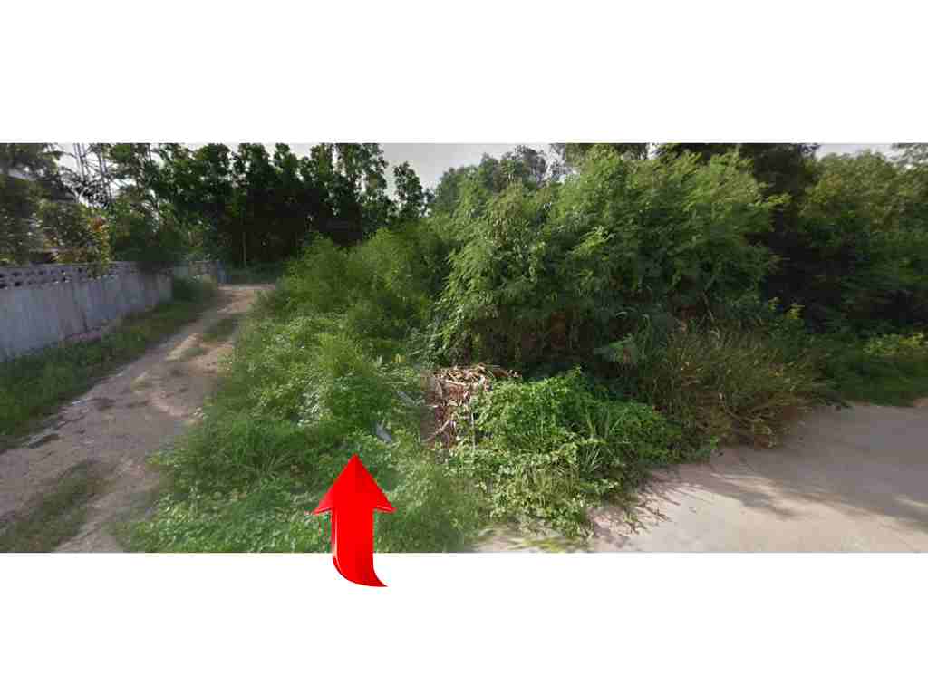 ขายด่วน ที่ดินสวย ราคาถูกต่ำกว่าราคาประเมิน อ. สิงหนคร จ. สงขลา