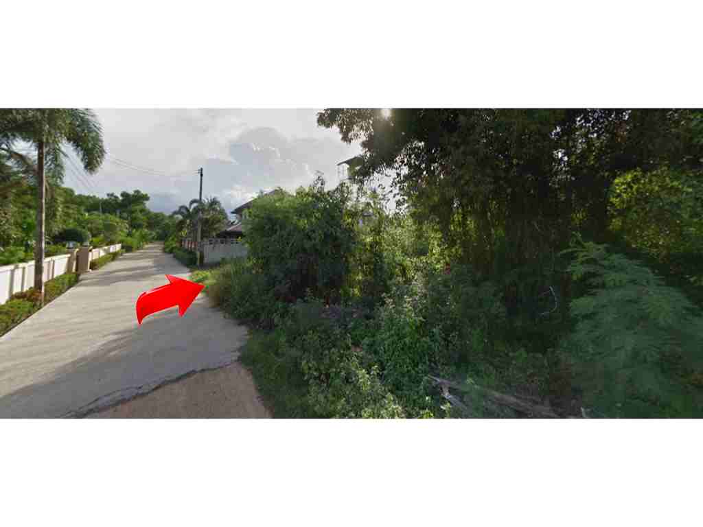 ขายด่วน ที่ดินสวย ราคาถูกต่ำกว่าราคาประเมิน อ. สิงหนคร จ. สงขลา