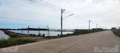 ขายที่ราคาพิเศษ สร้างโรงงานได้ ใกล้พระราม2 บางขุนเทียน 35.5 ไร่ ขอใบ รง.4 ได้ เทรลเลอร์เข้าสะดวก เส้นบางขุนเทียน - พันท้าย KK5374S