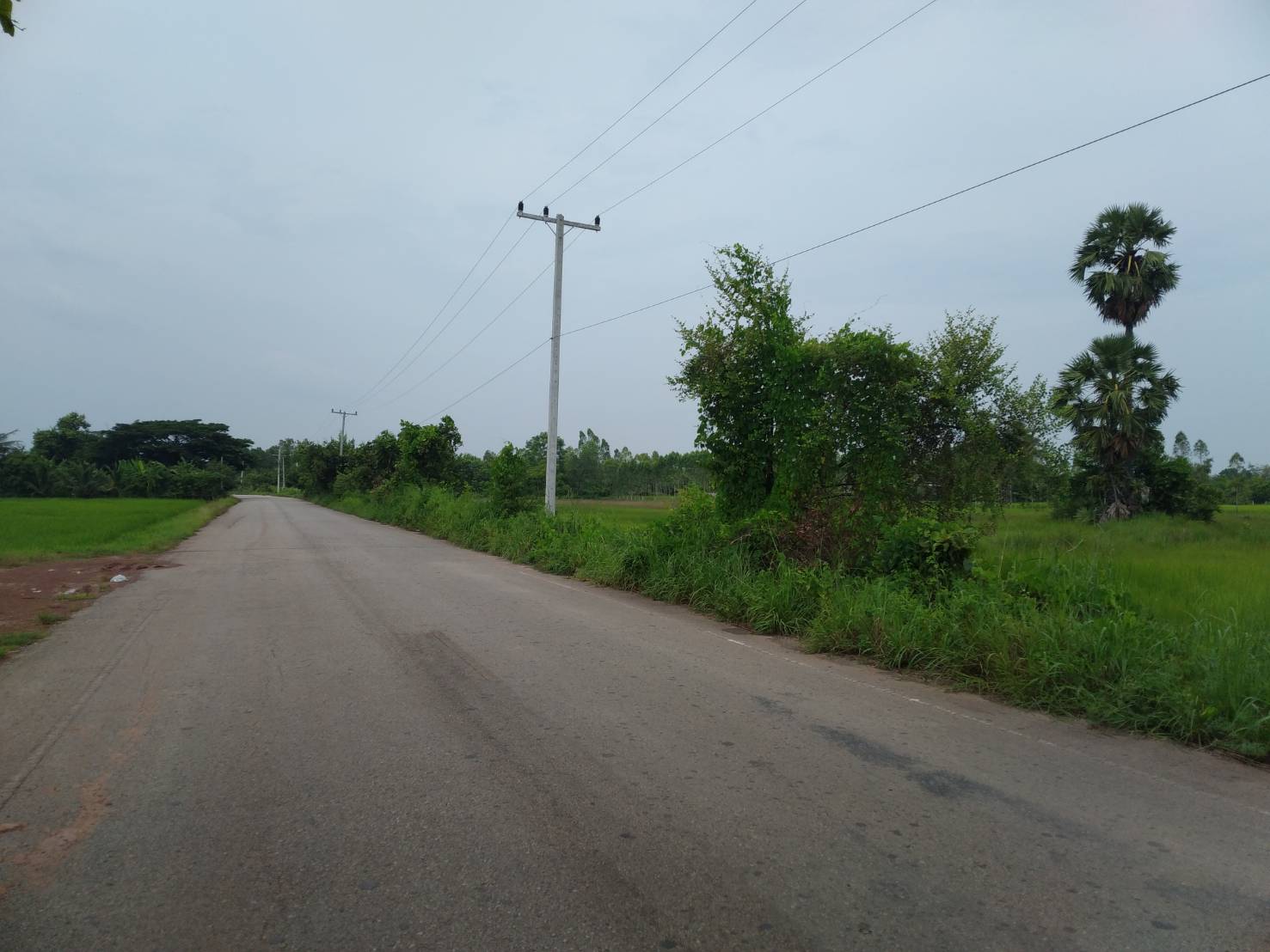 ขายที่ดิน 24-0-15 THB18,000,000 สามพร้าว เมือง อุดรธานี