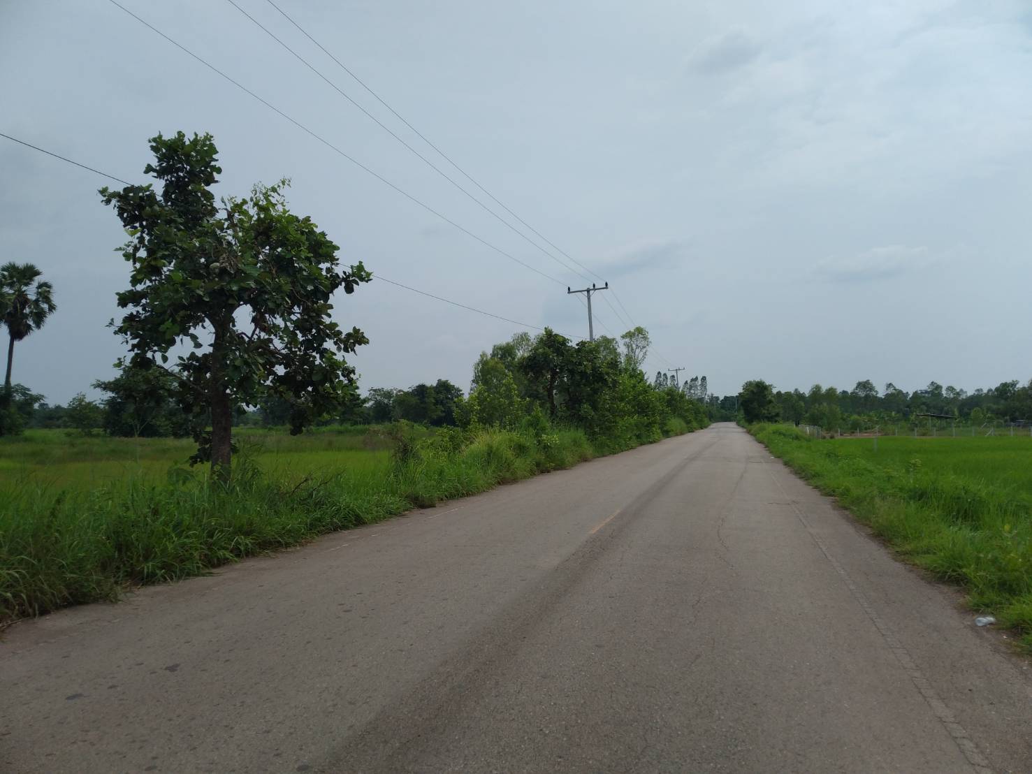 ขายที่ดิน 24-0-15 THB18,000,000 สามพร้าว เมือง อุดรธานี