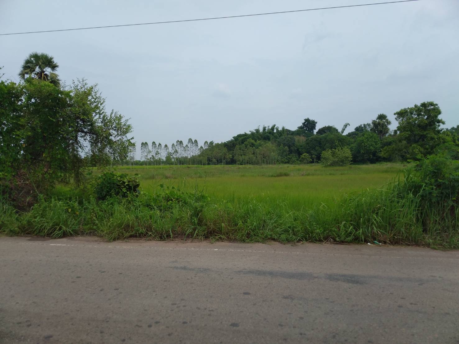 ขายที่ดิน 24-0-15 THB18,000,000 สามพร้าว เมือง อุดรธานี
