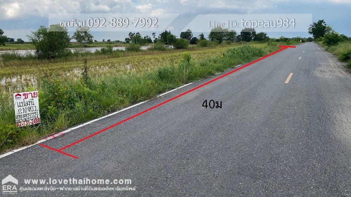 ขายที่ดิน องครักษ์ นครนายก ถนนทางหลวงชนบทนครนายก 4009 คลอง22 พื้นที่210ตรว. ใกล้โรงเรียนบ้านปลายคลอง22 แปลงที่ดินสี่เหลี่ยมผืนผ้าสวยมาก ถนนคอนกรีตผ่านหน้าที่ ราคาถูกมาก ขายด่วน