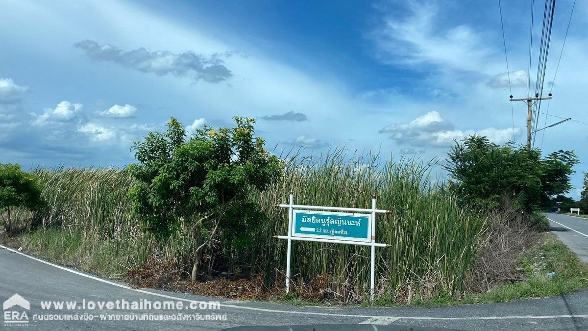 ขายที่ดิน องครักษ์ นครนายก ถนนทางหลวงชนบทนครนายก 4009 คลอง22 พื้นที่210ตรว. ใกล้โรงเรียนบ้านปลายคลอง22 แปลงที่ดินสี่เหลี่ยมผืนผ้าสวยมาก ถนนคอนกรีตผ่านหน้าที่ ราคาถูกมาก ขายด่วน