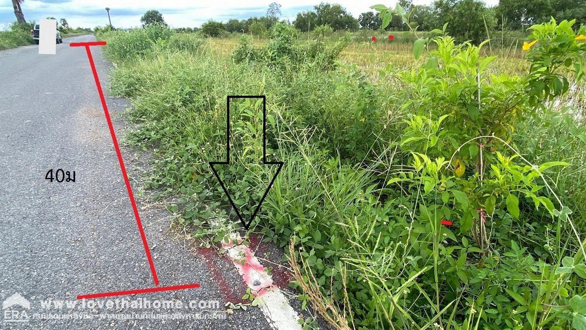 ขายที่ดิน องครักษ์ นครนายก ถนนทางหลวงชนบทนครนายก 4009 คลอง22 พื้นที่210ตรว. ใกล้โรงเรียนบ้านปลายคลอง22 แปลงที่ดินสี่เหลี่ยมผืนผ้าสวยมาก ถนนคอนกรีตผ่านหน้าที่ ราคาถูกมาก ขายด่วน