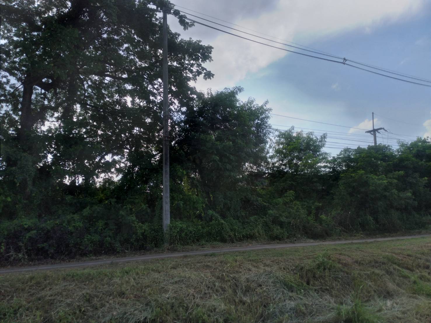 ขายที่ดิน 105-1-15 THB157,931,250 หนองบัวบาน, หนองวัวซอ, อุดรธานี