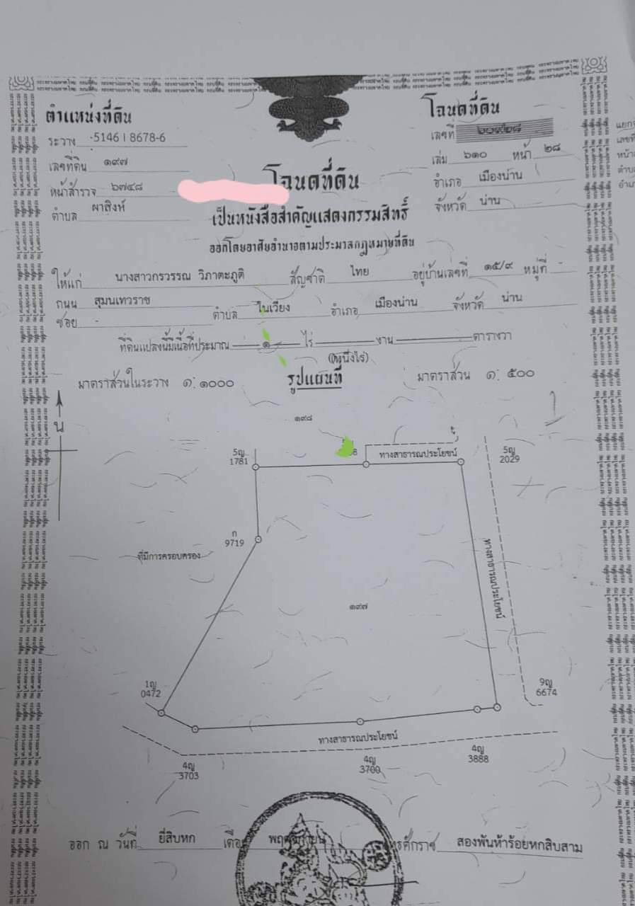 ขายด่วน ที่ดินสวย ทำเลดี อำเภอเมือง จังหวัดน่าน (พร้อมสาธารณูปโภค)