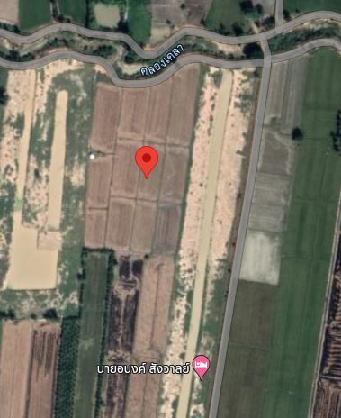 ขายด่วน ที่ดินแปลงสวย ทำเลดี ใกล้ถนนใหญ่ อำเภอทุ่งเสลี่ยม จังหวัดสุโขทัย