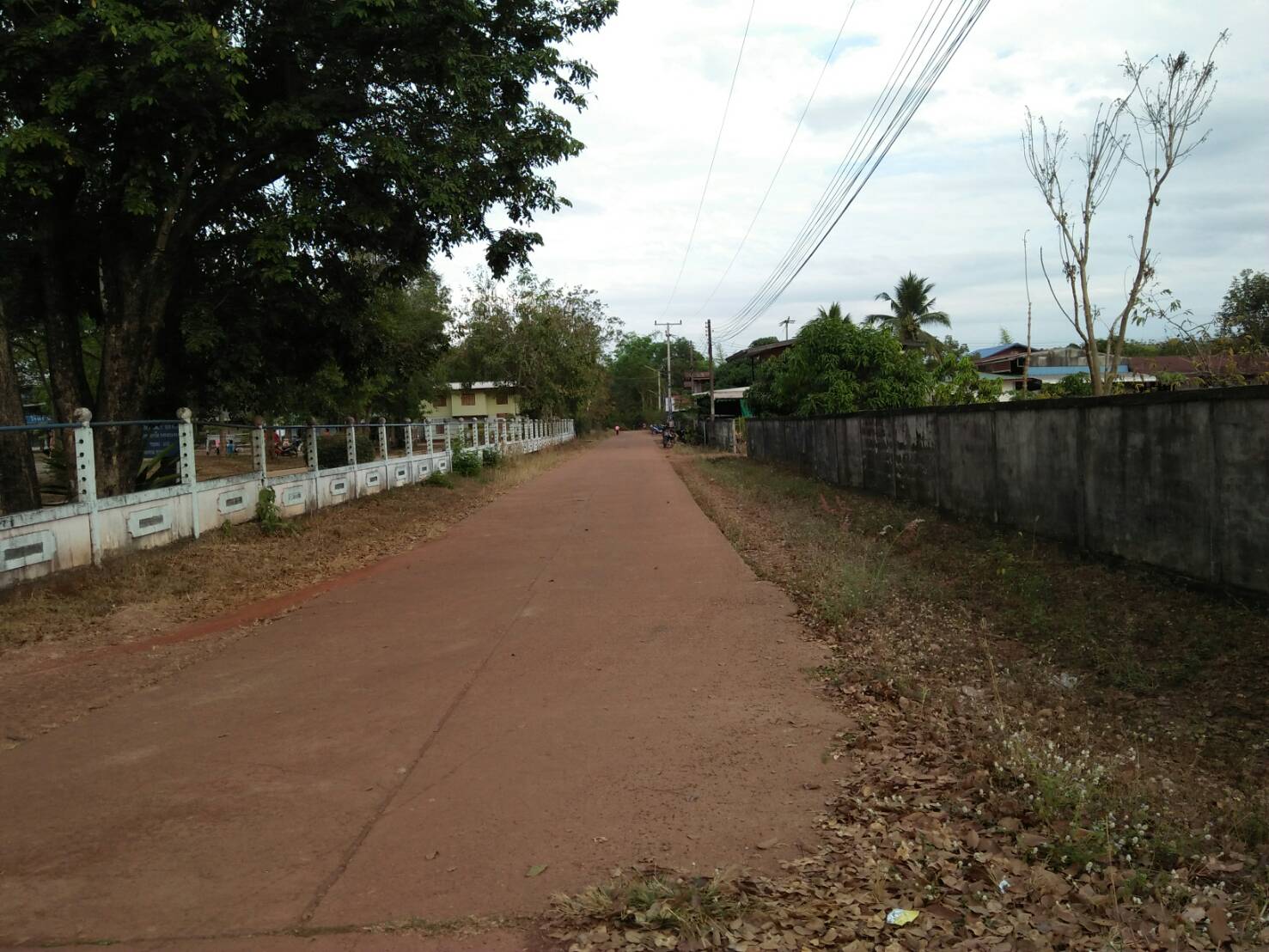 ขายที่ดิน 1-3-99.3 THB1,100,000 ต.พระบาทนาสิงห์, อ.รัตนวาปี, จ.หนองคาย