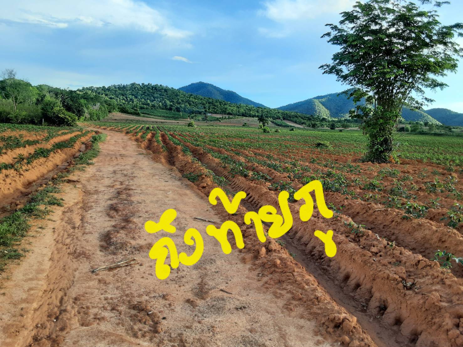 ขายที่ดิน 111-0-0 THB13,875,000 ต.แก่งเสี้ยน, อ.เมือง, จ.กาญจนบุรี