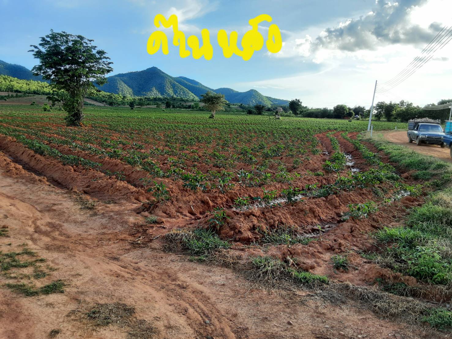 ขายที่ดิน 111-0-0 THB13,875,000 ต.แก่งเสี้ยน, อ.เมือง, จ.กาญจนบุรี