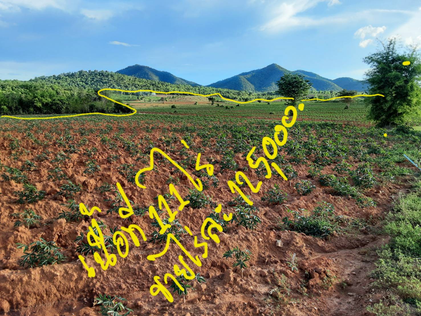 ขายที่ดิน 111-0-0 THB13,875,000 ต.แก่งเสี้ยน, อ.เมือง, จ.กาญจนบุรี