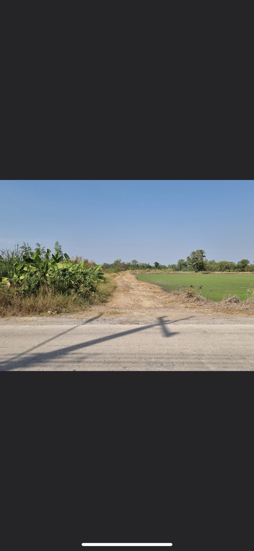 ขายที่ดิน  ทำเลดี ตำบล คลองโยง อำเภอพุทธมณฑล นครปฐม