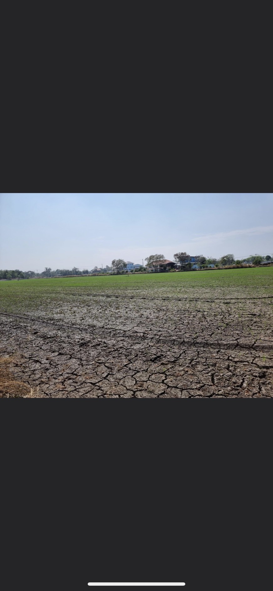 ขายที่ดิน  ทำเลดี ตำบล คลองโยง อำเภอพุทธมณฑล นครปฐม