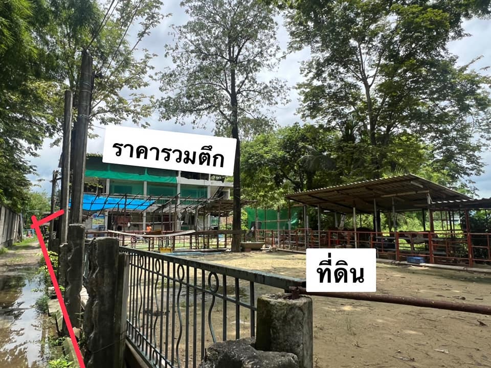 ที่ดินติดถนน ติดริมคลอง 250 ตารางวา  มีนบุรี ราคาต่อรองได้