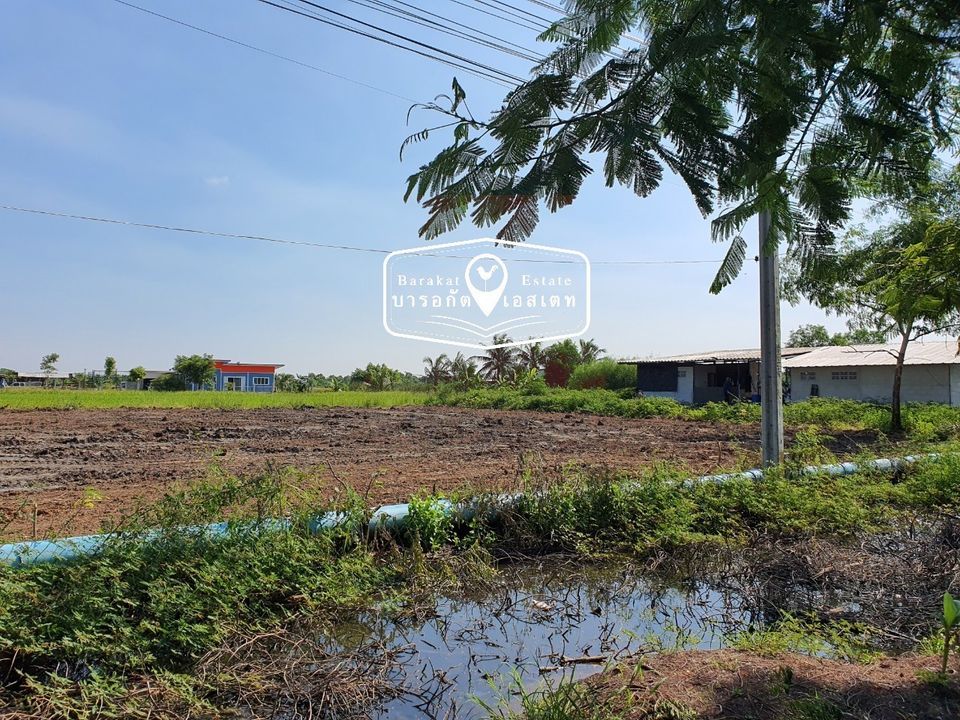เนื้อที่2ไร่,ถนนคลองสิบ-สิบสี่,แขวงคลองสิบ,เขตหนองจอก,จังหวัดกรุงเทพฯ