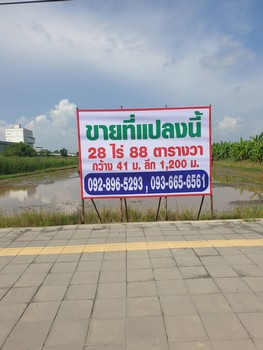 ขายที่ดินสีม่วงลาย ตรงข้าม ตลาดปองพล 28 ไร่ ติดถนนสุวินทวงศ์ กว้าง 41 ม.  ลึก 1,200 ม. ด้านหลังติด คลองนครเนื่องเขต ต.ศาลาแดง อ.เมืองฉะเชิงเทรา  จังหวัดฉะเชิงเทรา