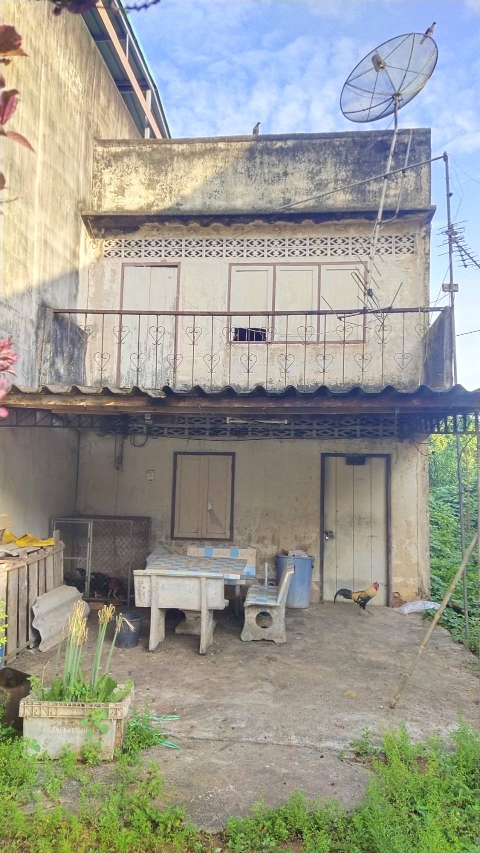 ขายด่วนมาก บ้านเดี่ยวขายขาดทุน ติดถนน ทำเลดี อำเภอย่านตาขาว จังหวัดตรัง