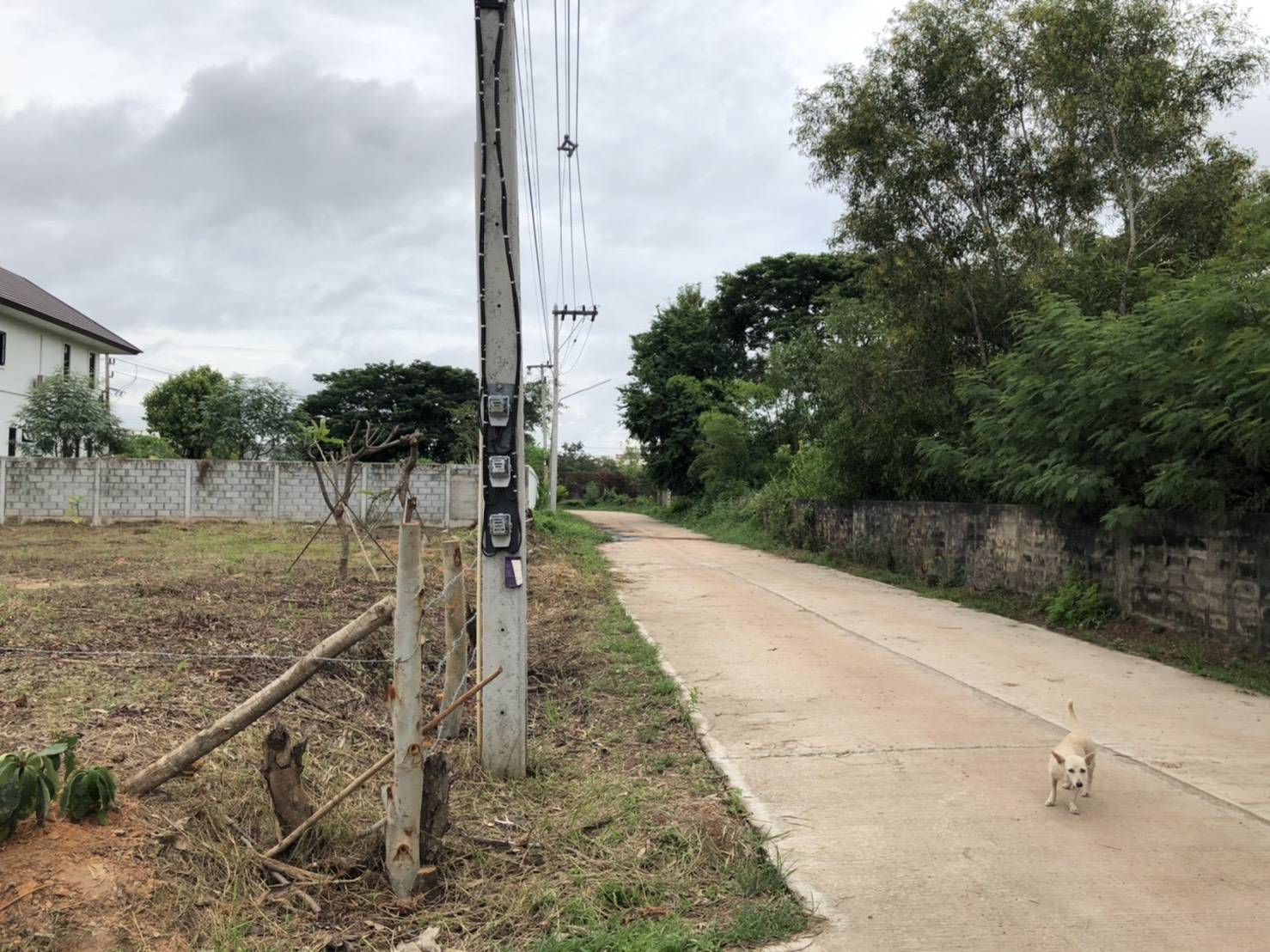 ขายที่ดิน 1-0-0 THB4,500,000 หมากแข้ง, เมือง, อุดรธานี