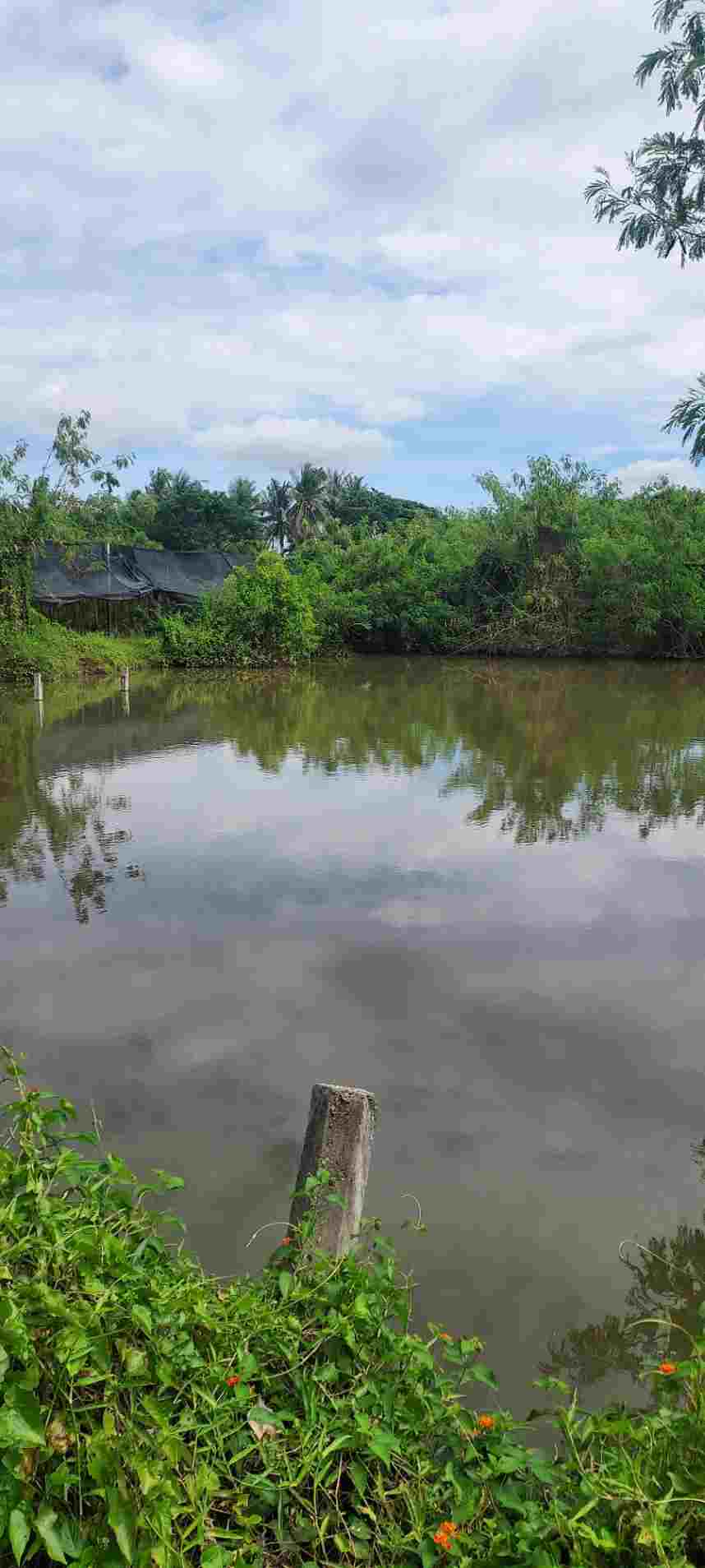 ขายที่ดิน พร้อมสิ่งปลูกสร้าง ทำเลดี ใกล้วัดโพธิ์เงิน อำเภออู่ทอง จังหวัด สุพรรณบุรี