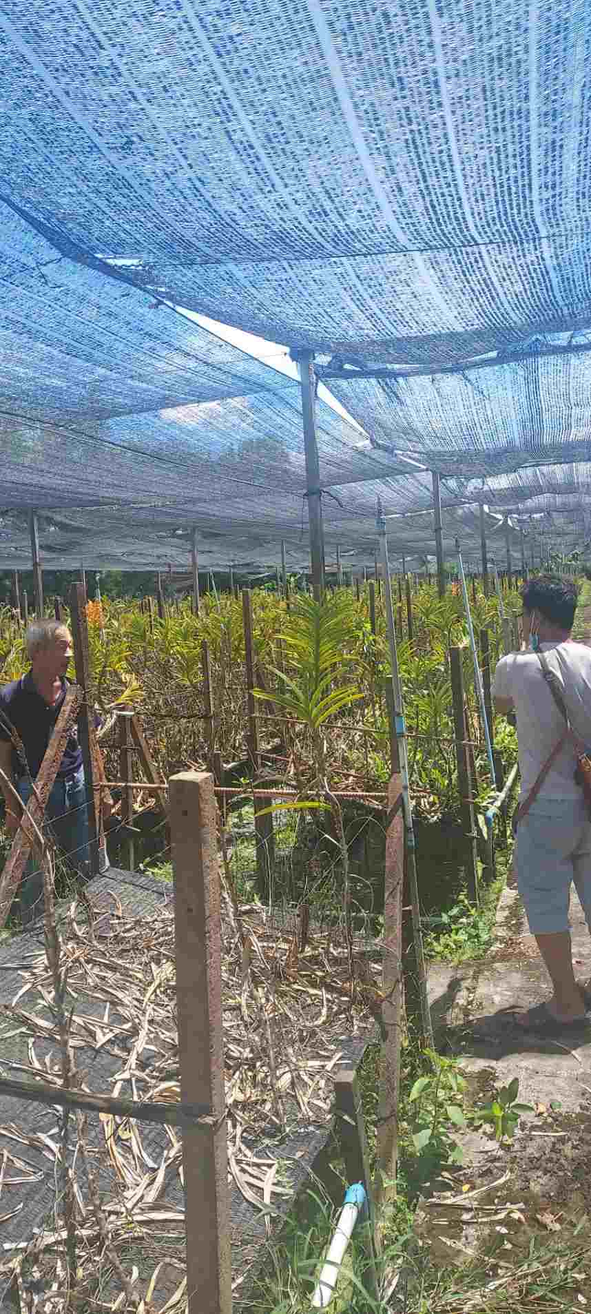 ขายที่ดิน พร้อมสิ่งปลูกสร้าง ทำเลดี ใกล้วัดโพธิ์เงิน อำเภออู่ทอง จังหวัด สุพรรณบุรี